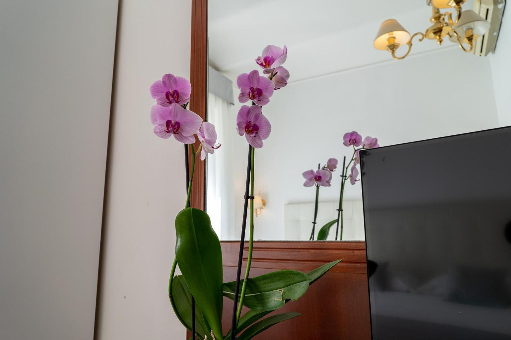 Hotel Gabriella Rome Bagian luar foto